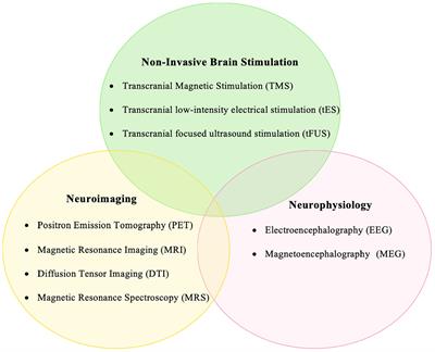 Tapping the Potential of Multimodal Non-invasive Brain Stimulation to Elucidate the Pathophysiology of Movement Disorders